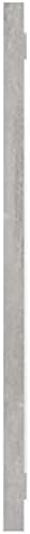 Modern Bathroom Mirror with Concrete Gray Finish 394x146in
