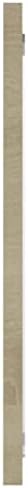Sonoma Oak Bathroom Mirror 394x146x06 Wall Mounted