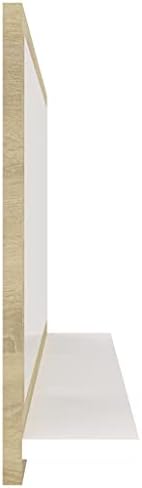 Wall Mounted Acrylic Mirror with Open Shelf for Bathroom Vanity