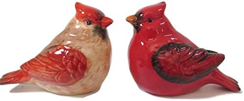 Transpac Cardinal Salt Pepper Shaker Set 1