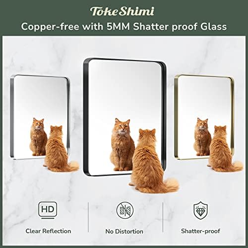 TokeShimi 24x30 Inch Gold Brushed Wall Mirror