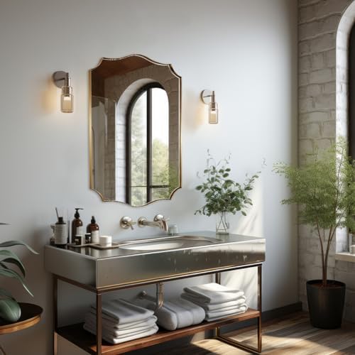 Andy Star 24x36 Wall Mirror with Stainless Steel Frame