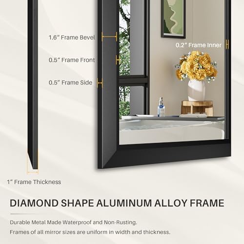 Briivue 60x36 Black Bathroom Mirror with Frame