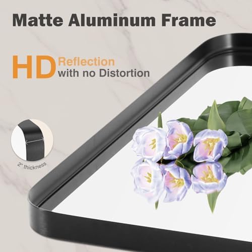 ANTONIA 20X30 Inch Black Metal Framed Bathroom Mirror