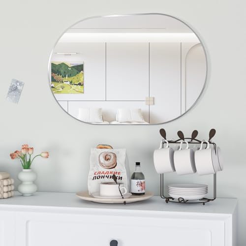 NEUWEABY 20x30 Silver Oval Bathroom Mirror