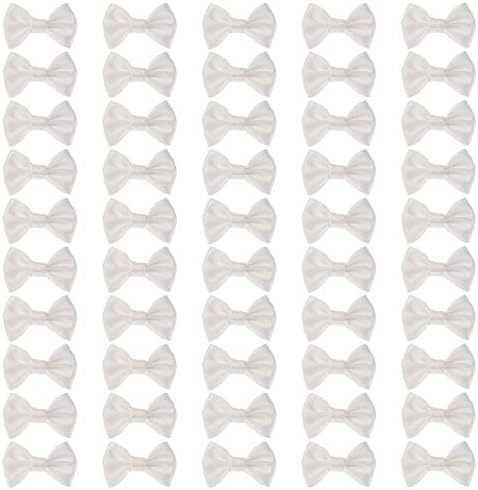 Shapenty Mini Satin Ribbon Bows 50PCS