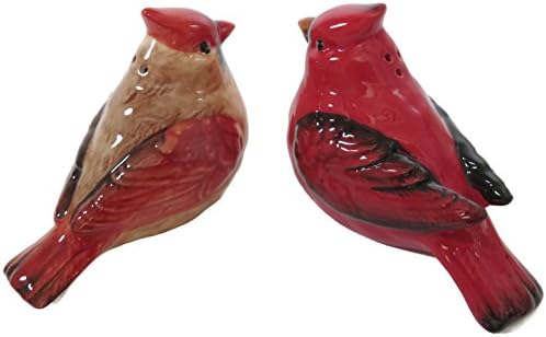 Transpac Cardinal Salt Pepper Shaker Set 1