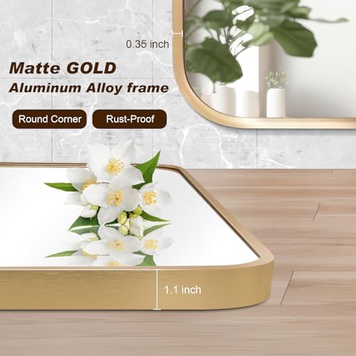 SILD Gold Rectangle Wall Mirror 30 x 40 inch