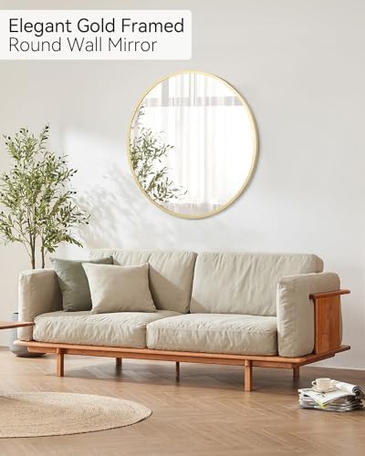 Gold 30 Inch Round Mirror with Brushed Frame
