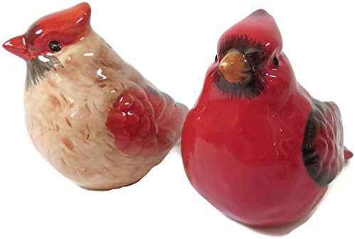 Transpac Cardinal Salt Pepper Shaker Set 1