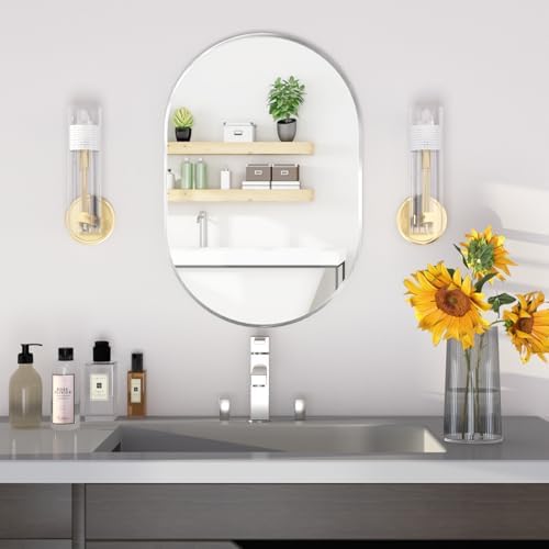 NEUWEABY 20x30 Silver Oval Bathroom Mirror