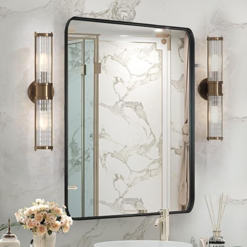 ANTONIA 20X30 Inch Black Metal Framed Bathroom Mirror