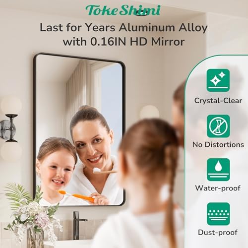 Tokeshimi 16x20 Matte Black Bathroom Mirror with Tempered Glass