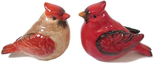 Transpac Cardinal Salt Pepper Shaker Set 1