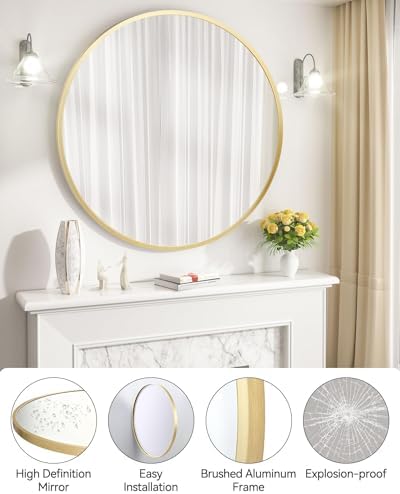 Gold 30 Inch Round Mirror with Brushed Frame