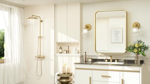 TokeShimi 24x30 Inch Gold Brushed Wall Mirror