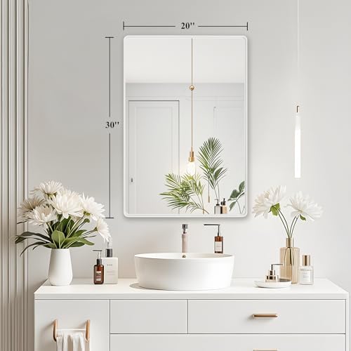Fabuday 20x30 Inch White Bathroom Mirror with Matte Metal Frame 1