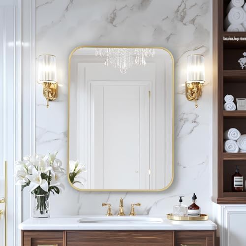 MZON 20x30 Inch Brushed Gold Vanity Mirror