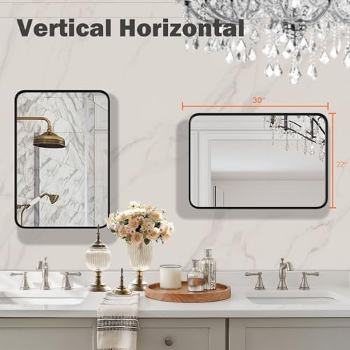 ANTONIA 20X30 Inch Black Metal Framed Bathroom Mirror