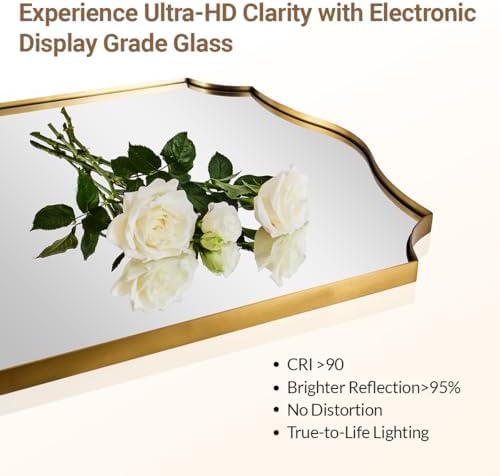 Andy Star 24x36 Wall Mirror with Stainless Steel Frame