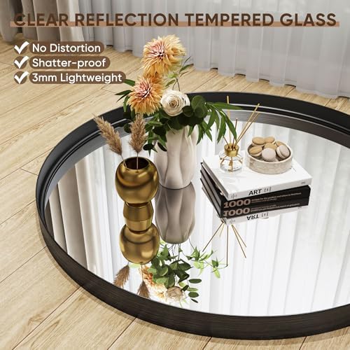 Furnbar 20 Inch Round Black Mirror with Metal Frame