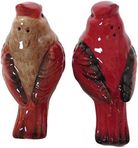 Transpac Cardinal Salt Pepper Shaker Set 1