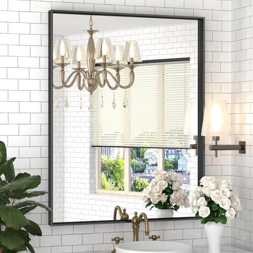 DENRICK 16x20 Inch Matte Black Frame Mirror