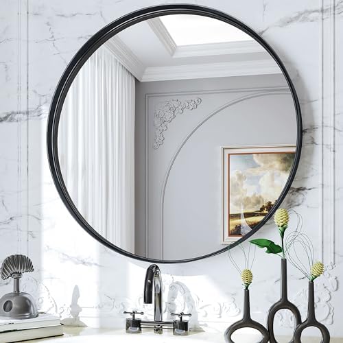 Suidia 24 Inch Black Metal Frame Round Wall Mirror
