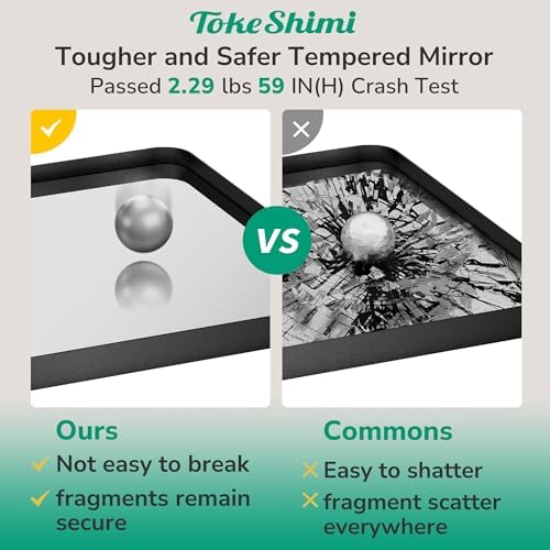 Tokeshimi 16x20 Matte Black Bathroom Mirror with Tempered Glass