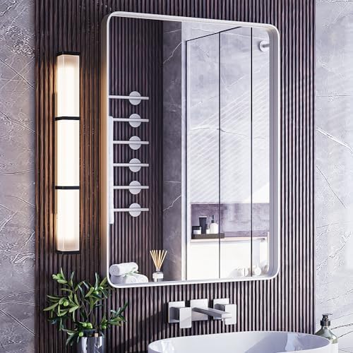 ISKM 24x36 Inch Brushed Silver Mirror for Bathroom