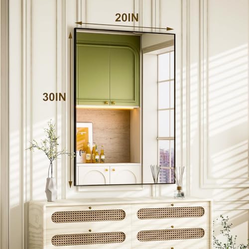 HARRITPURE 30x20 Inch Black Rectangle Wall Mirror