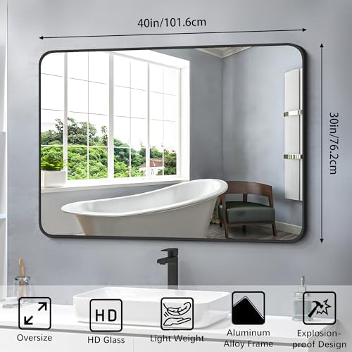 FORBATH 30x40 inch Bathroom Mirror with Black Metal Frame