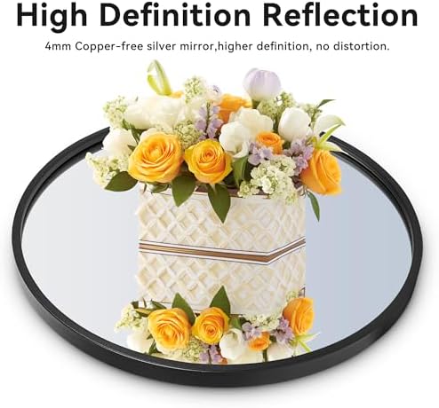 Heymirro 24 Inch Black Metal Framed Wall Mirror